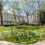 2 bed 2 bath Flat to Rent in Bayswater W2